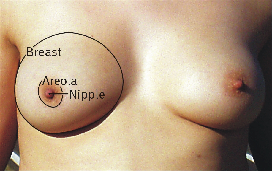 All 8 type nipple boobs pic
