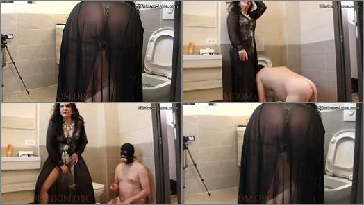 best of Cleans toilet slave gets degraded