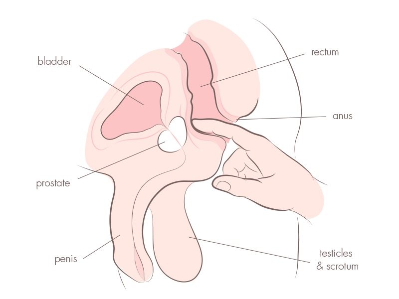 best of Crazy amount prostate milking like