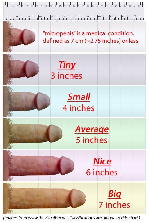 Dick small average please comment