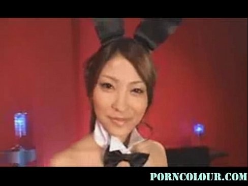 Pecan reccomend asian bunny gets pounded